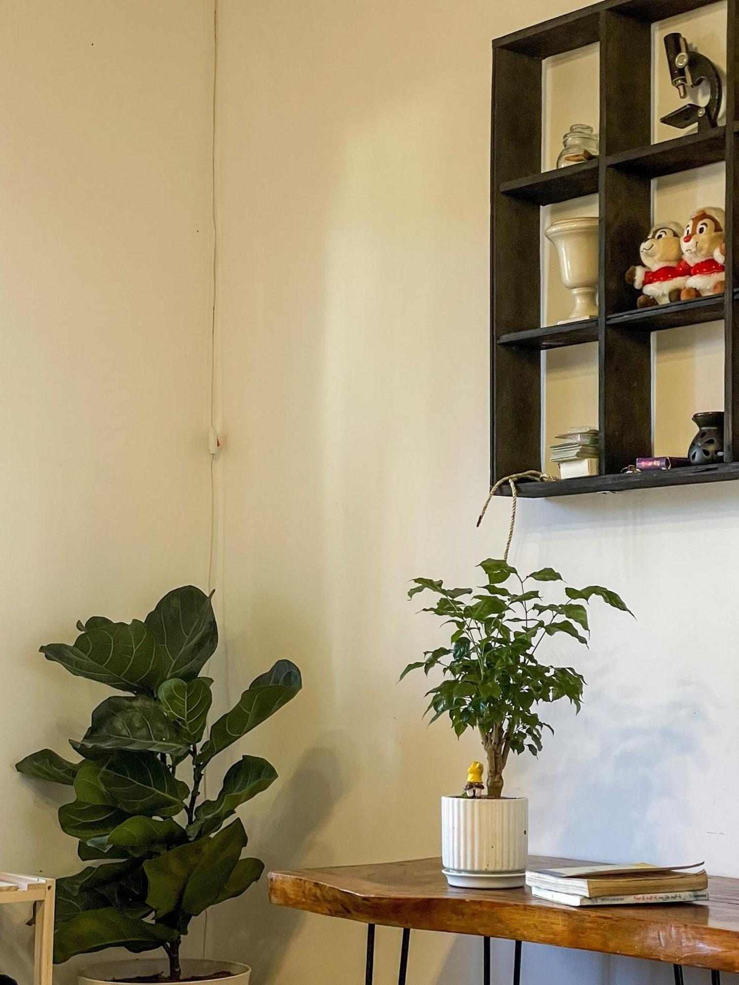 Hat De Homestay Đà Lạt Exterior foto