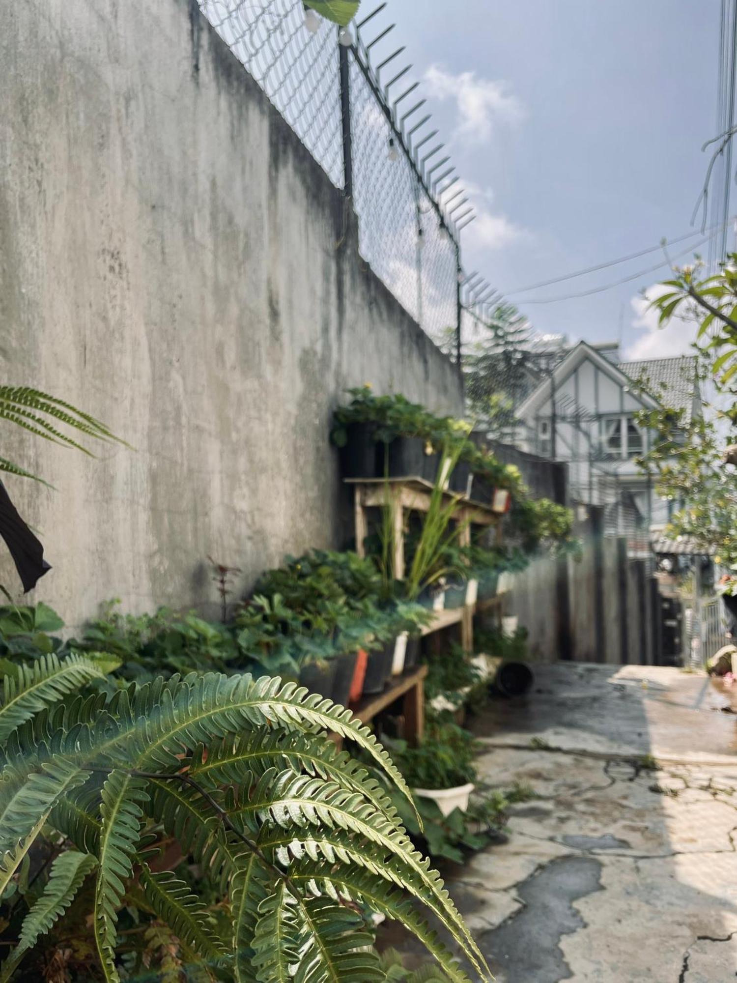 Hat De Homestay Đà Lạt Exterior foto