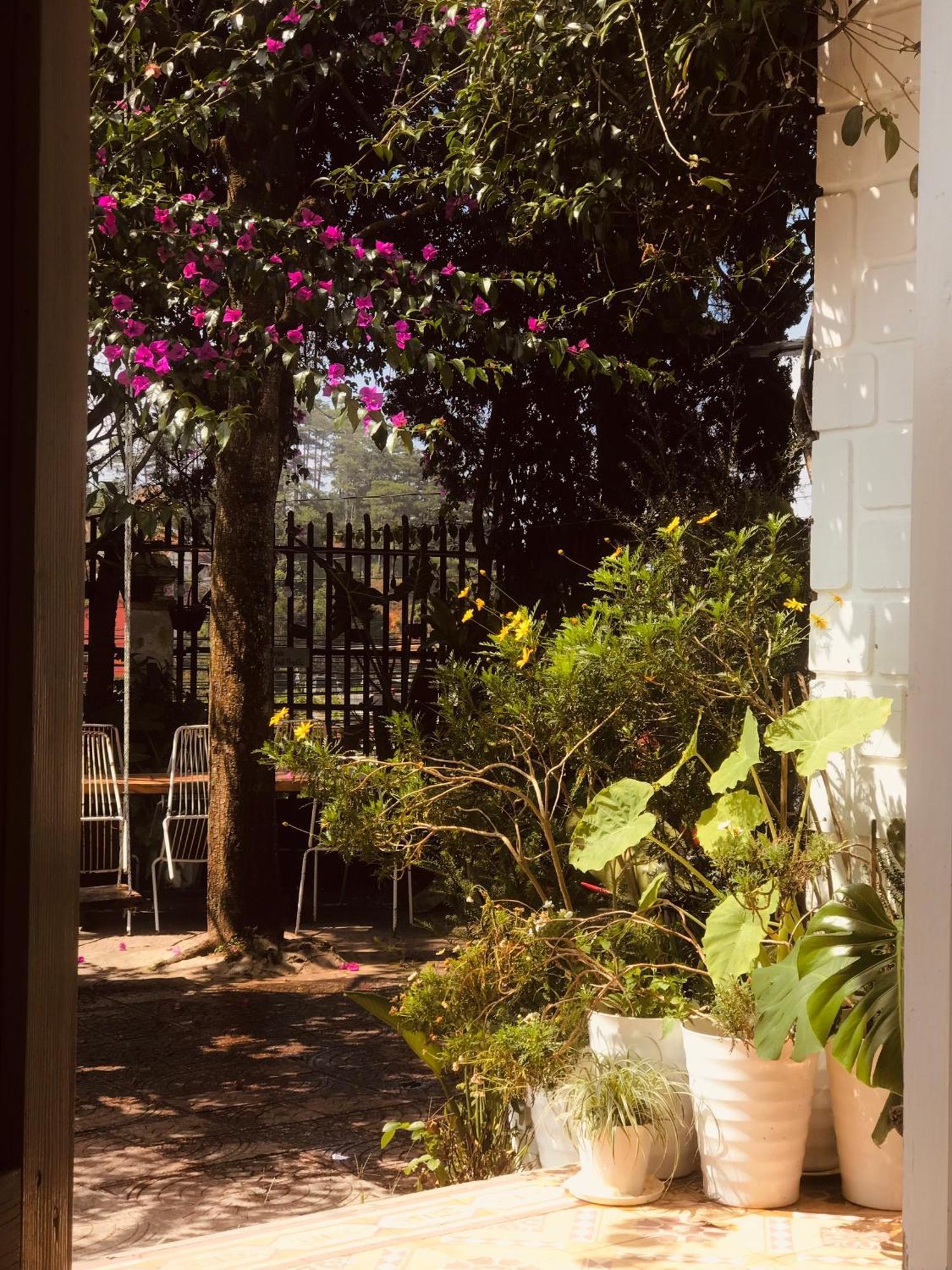 Hat De Homestay Đà Lạt Exterior foto